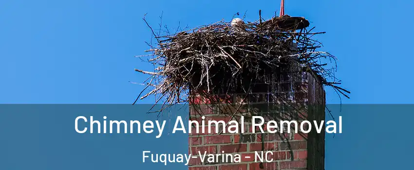  Chimney Animal Removal Fuquay-Varina - NC
