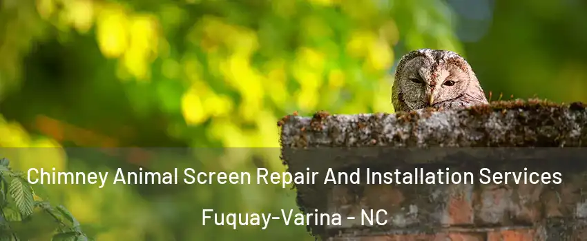 Chimney Animal Screen Repair And Installation Services Fuquay-Varina - NC