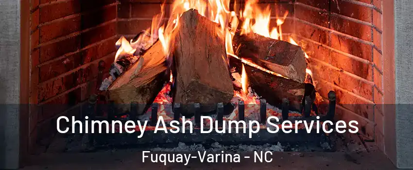  Chimney Ash Dump Services Fuquay-Varina - NC