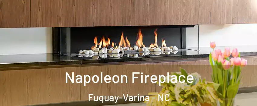  Napoleon Fireplace Fuquay-Varina - NC